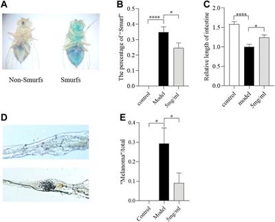 Flos puerariae ameliorates the intestinal inflammation of Drosophila via modulating the Nrf2/Keap1, JAK-STAT and Wnt signaling